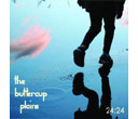 AXDB-3815 24：24/the buttercup plains