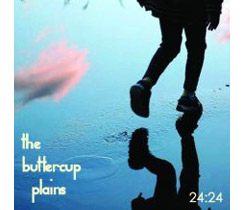 AXDB-3815 24：24/the buttercup plains
